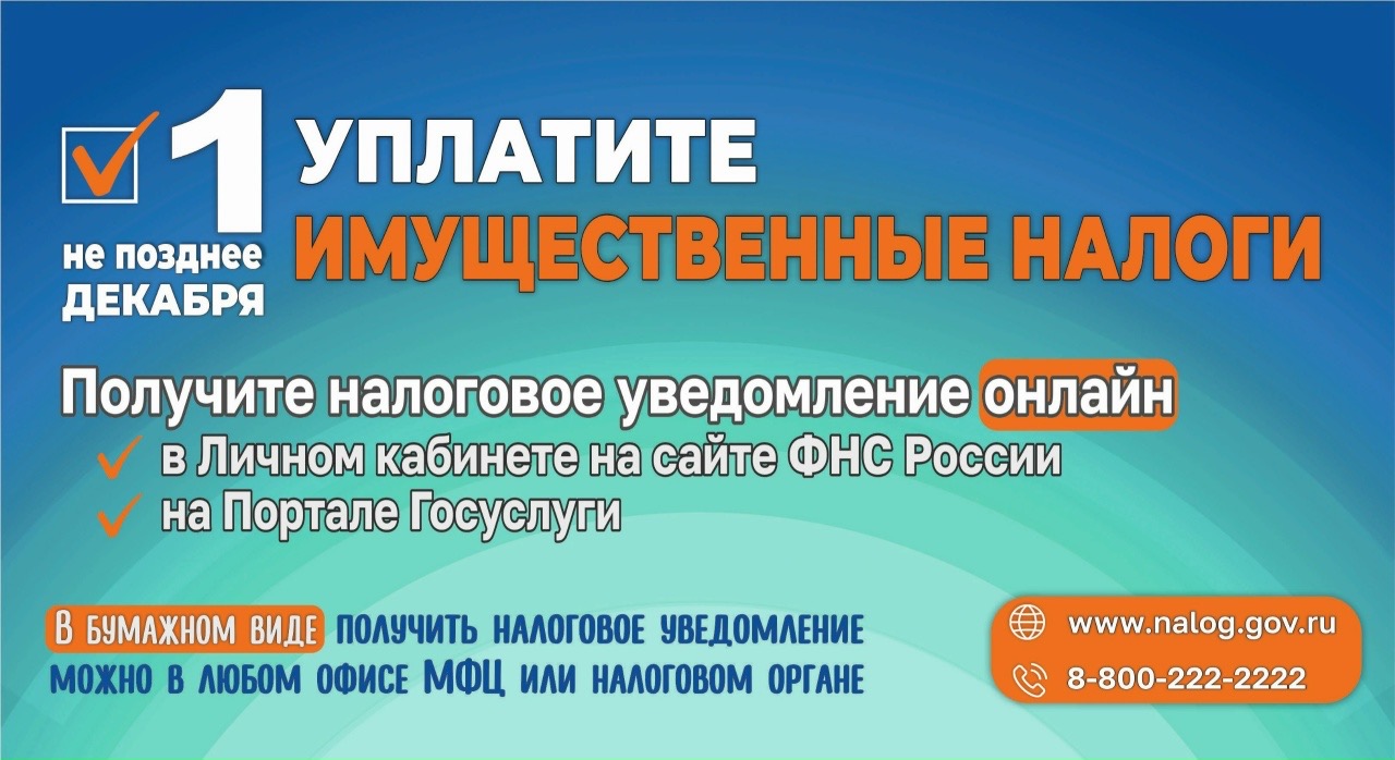 Оплатите имущественные налоги до 1 декабря 2025 года без пеней
